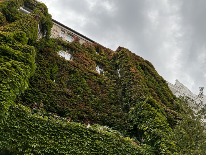 Im direkten Vergleich wirken auch hier die mit dem iPhone 13 Pro gemachten Bilder ...